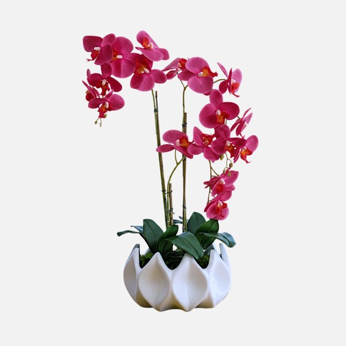 Arranjo de orquídeas em vaso de cerâmica branco Aurora - Rosa Escuro