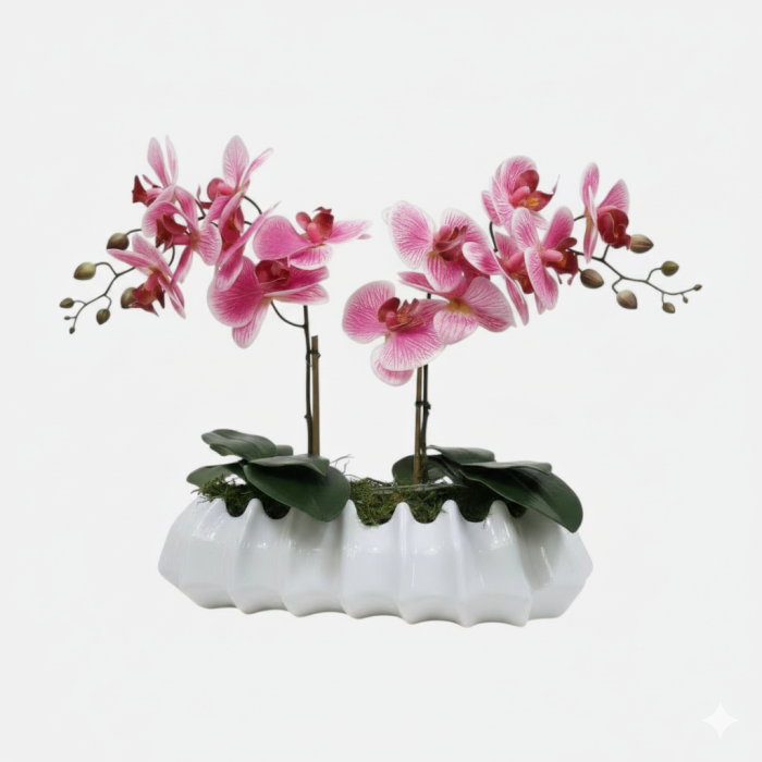 Arranjo de orquídeas em vaso de cerâmica branco Caravela - Rosa Claro