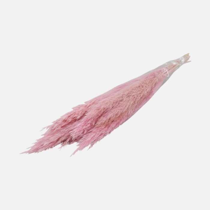 Ramos flor seca "Plumero Silvestre cor 40 rosa 120 cm