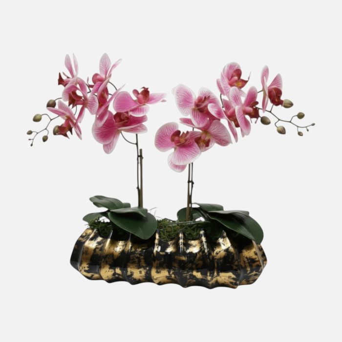 Arranjo de orquídeas em vaso de cerâmica preto e dourado Caravela - Rosa Claro