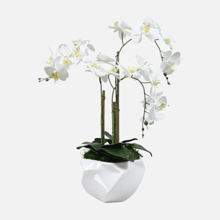 Arranjo de orquídeas em vaso de cerâmica branco Imperial
