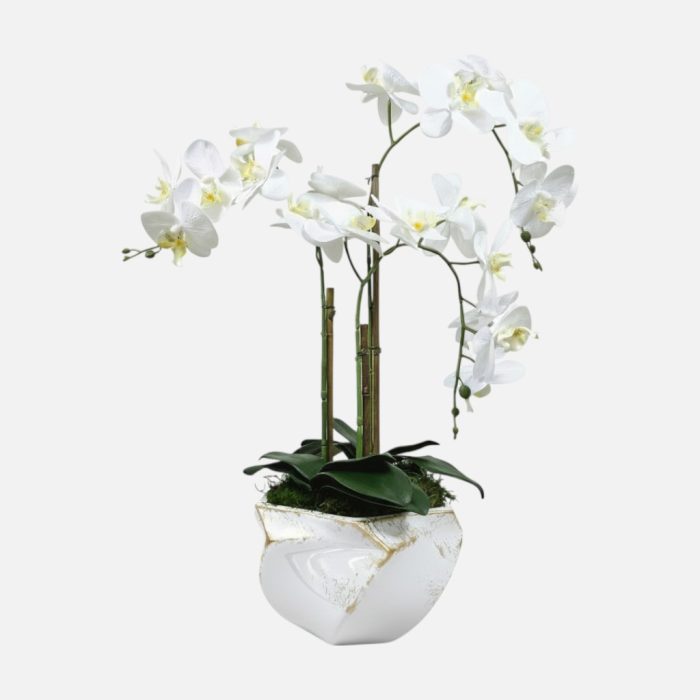 Arranjo de orquídeas em vaso de cerâmica branco e dourado Imperial