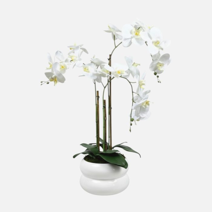 Arranjo de orquídeas em vaso de cerâmica branco Lumina