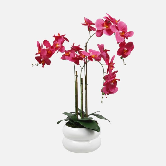Arranjo de orquídeas em vaso de cerâmica branco Lumina - Rosa Escuro