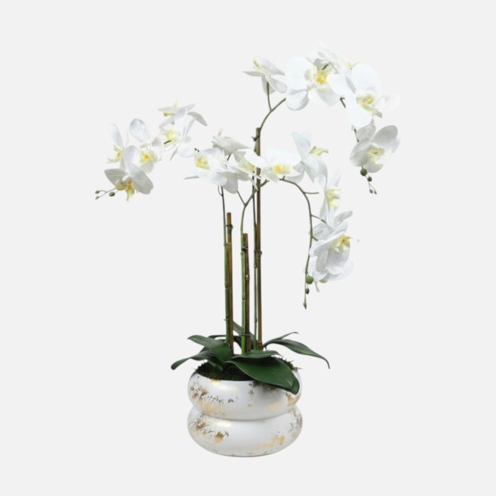 Arranjo de orquídeas em vaso de cerâmica branco e dourado Lumina