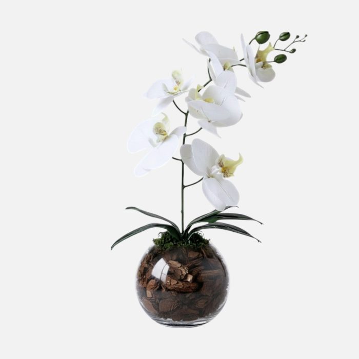 Arranjo de orquídeas em vaso de vidro Esfera