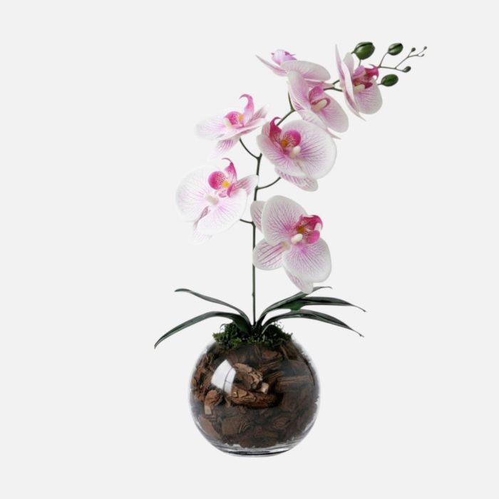Arranjo de orquídeas em vaso de vidro Esfera - Rosa Claro