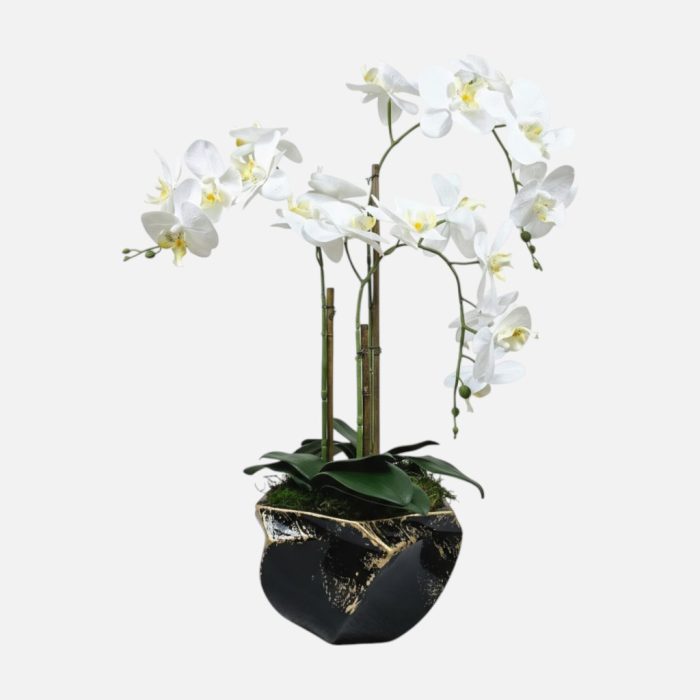 Arranjo de orquídeas em vaso de cerâmica preto e dourado Imperial