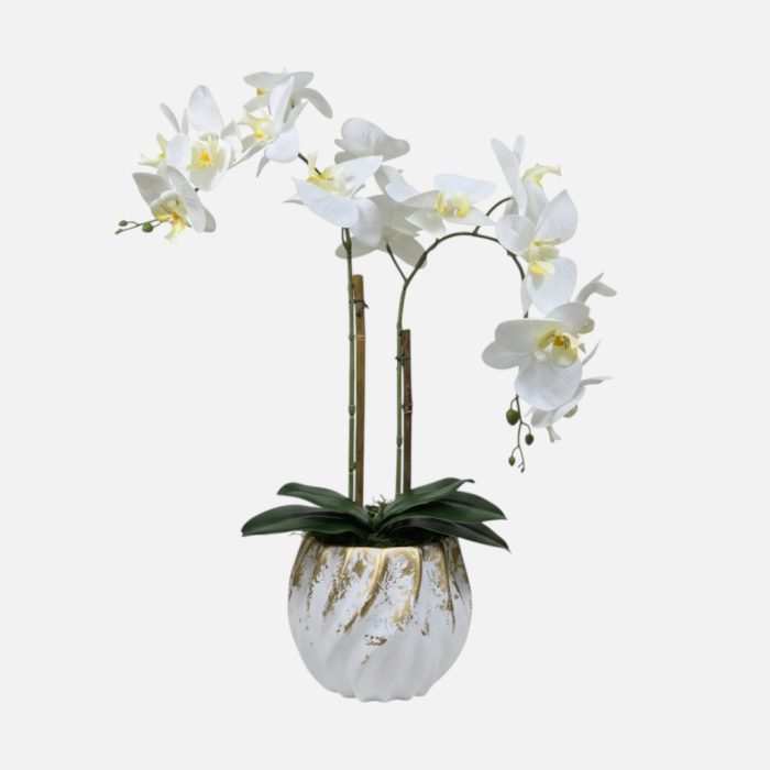 Arranjo de orquídeas em vaso de cerâmica branco e dourado Coral