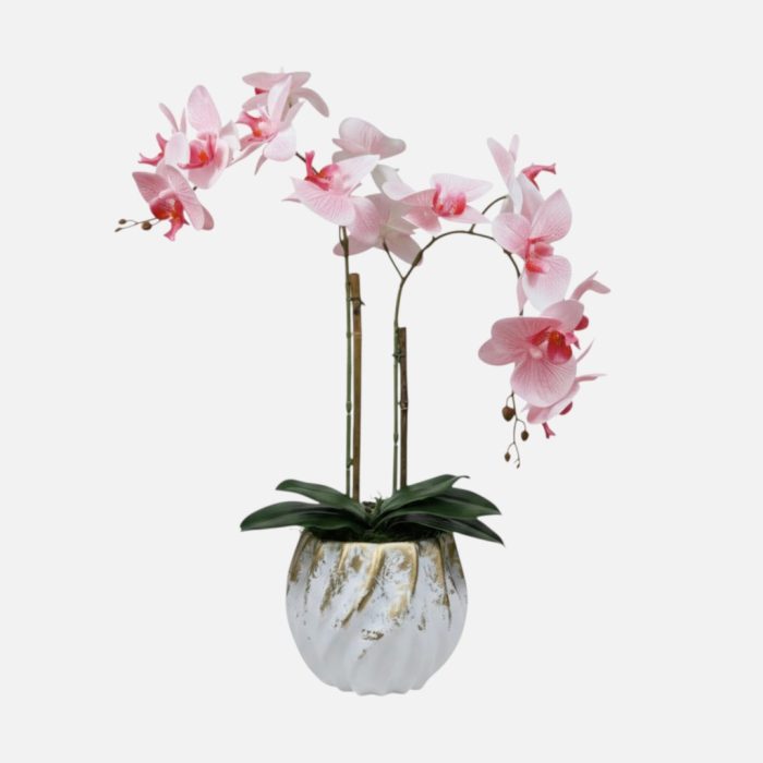 Arranjo de orquídeas em vaso de cerâmica branco e dourado Coral - Rosa Claro