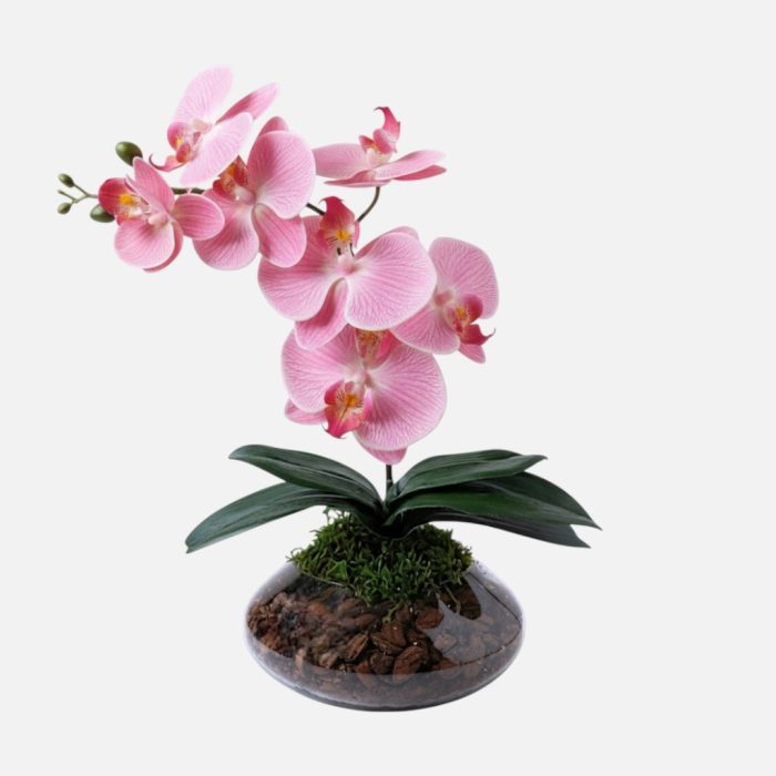 Arranjo de orquídeas em vaso de vidro Ônix - Rosa Claro