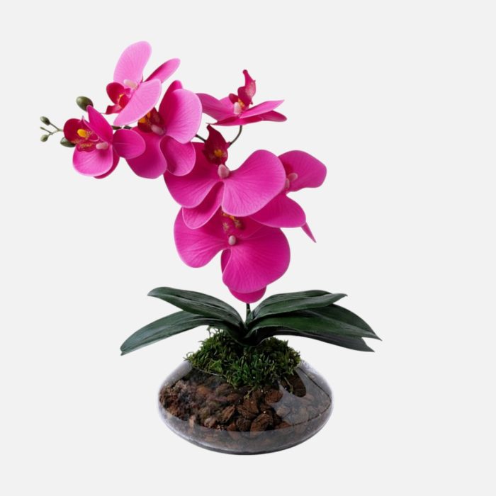 Arranjo de orquídeas em vaso de vidro Ônix - Rosa Escuro
