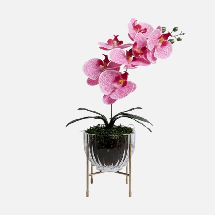 Arranjo de orquídeas em vaso de vidro Elegance - Rosa Claro