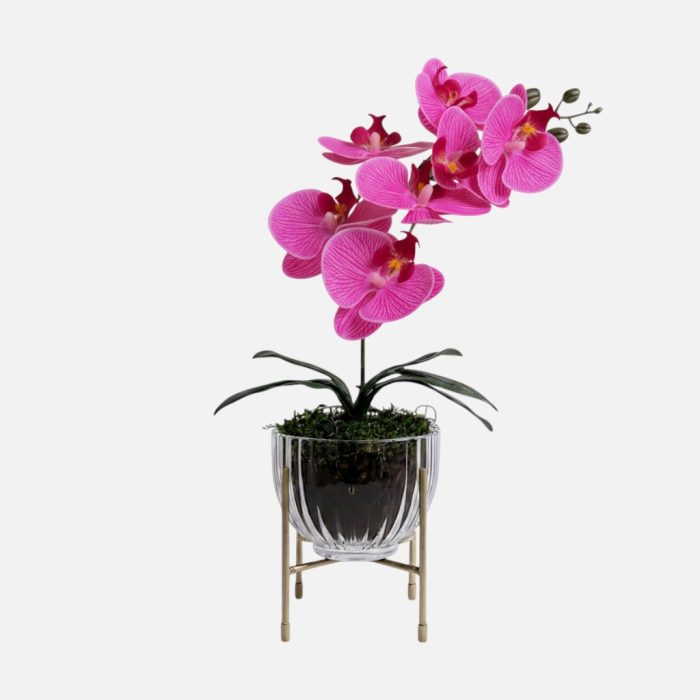 Arranjo de orquídeas em vaso de vidro Elegance - Rosa Escuro