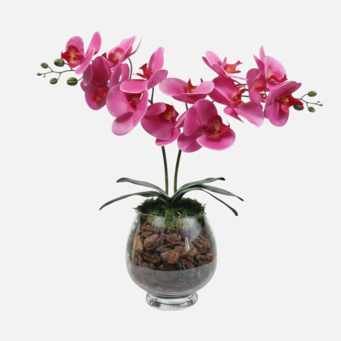 Arranjo de orquídeas em vaso de vidro Eclipse - Rosa Escuro
