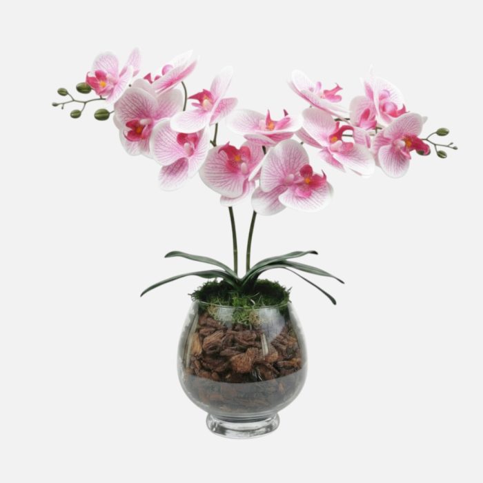Arranjo de orquídeas em vaso de vidro Eclipse - Rosa Claro