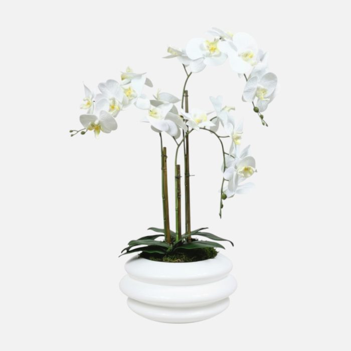 Arranjo de orquídeas em vaso de cerâmica branco Solene