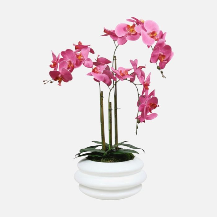 Arranjo de orquídeas em vaso de cerâmica branco Solene - Rosa Escuro