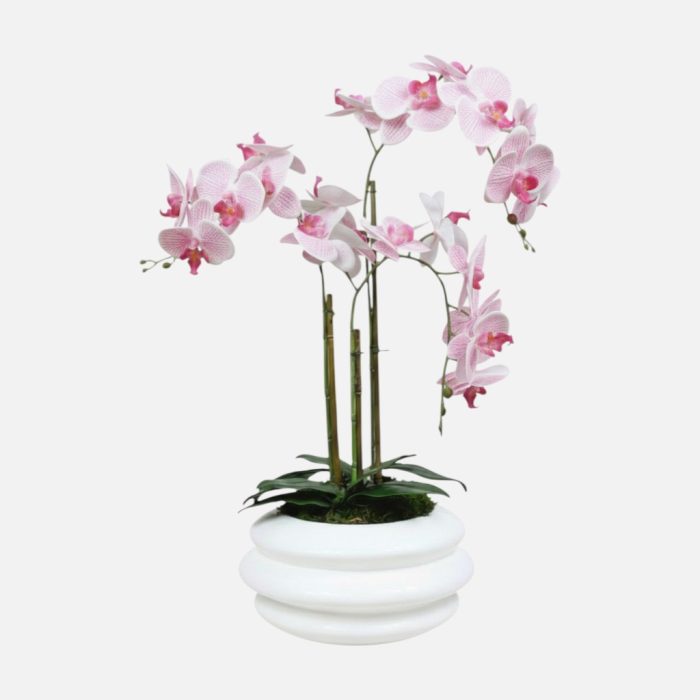 Arranjo de orquídeas em vaso de cerâmica branco Solene - Rosa Claro