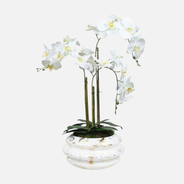 Arranjo de orquídeas em vaso de cerâmica branco e dourado Solene
