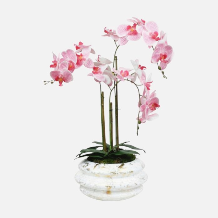 Arranjo de orquídeas em vaso de cerâmica branco e dourado Solene - Rosa Claro