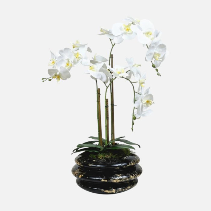 Arranjo de orquídeas em vaso de cerâmica perto e dourado Solene