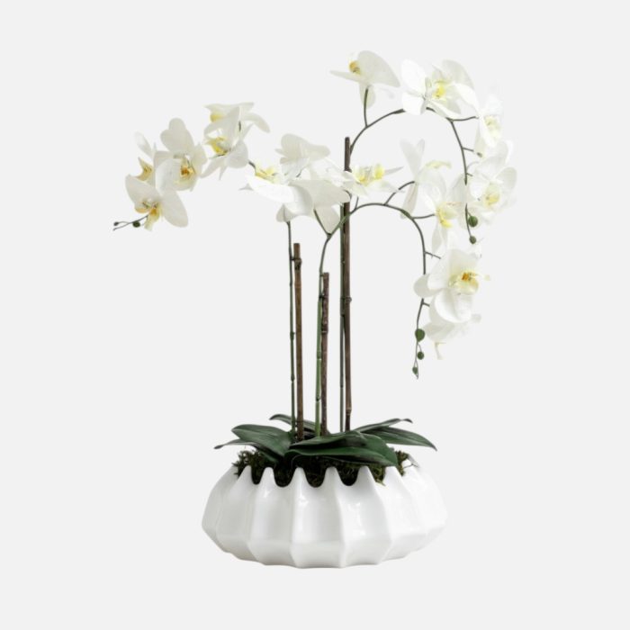 Arranjo de orquídeas em vaso de cerâmica branco Atlântico