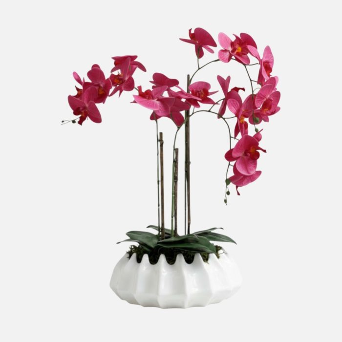 Arranjo de orquídeas em vaso de cerâmica branco Atlântico - Rosa Escuro
