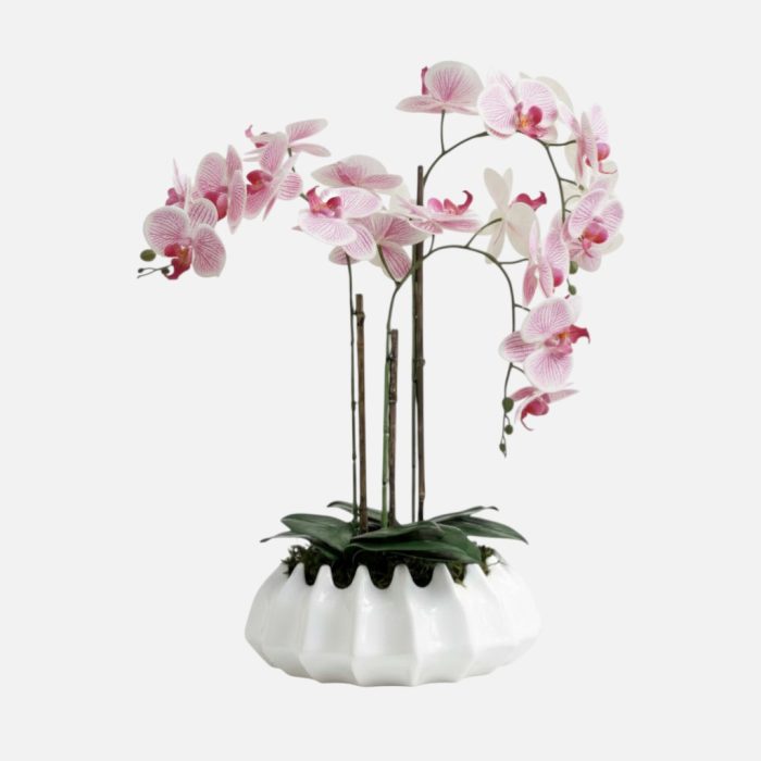 Arranjo de orquídeas em vaso de cerâmica branco Atlântico - Rosa Claro