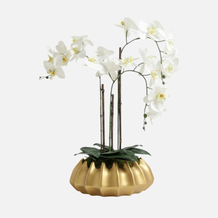 Arranjo de orquídeas em vaso de cerâmica dourado Atlântico