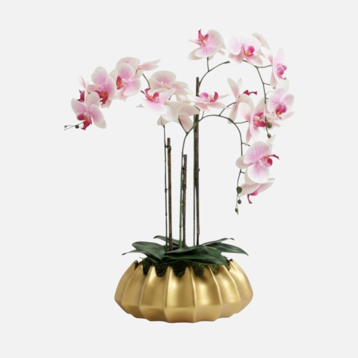 Arranjo de orquídeas em vaso de cerâmica dourado Atlântico - Rosa Claro