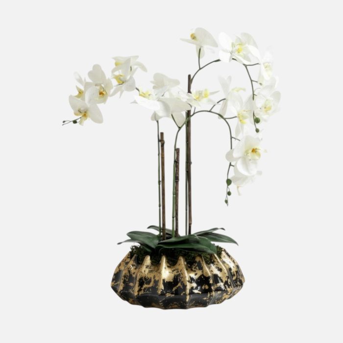 Arranjo de orquídeas em vaso de cerâmica preto e dourado Atlântico