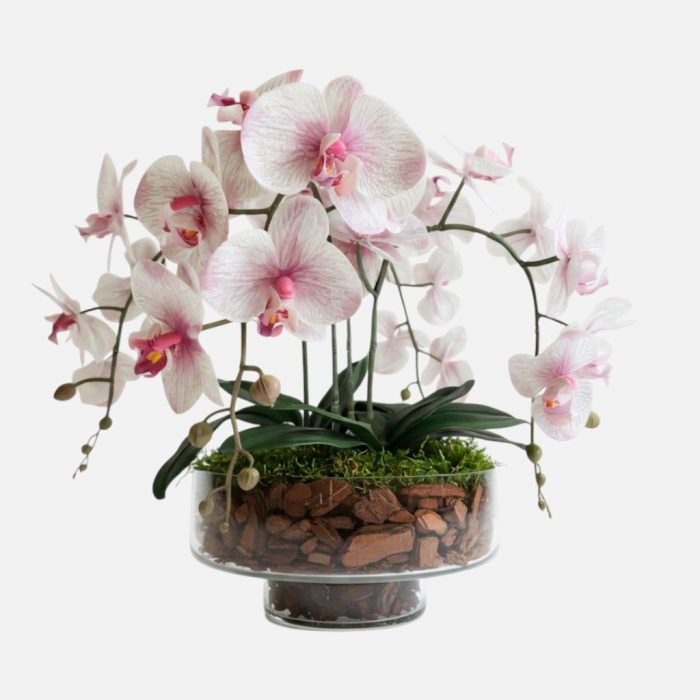 Arranjo de orquídeas em vaso de vidro Serenidade - Rosa Claro