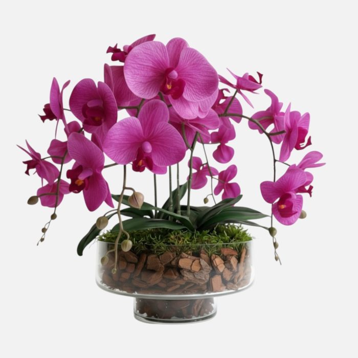 Arranjo de orquídeas em vaso de vidro Serenidade - Rosa Escuro