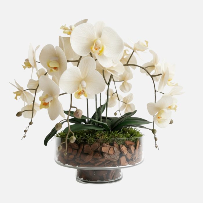 Arranjo de orquídeas em vaso de vidro Serenidade
