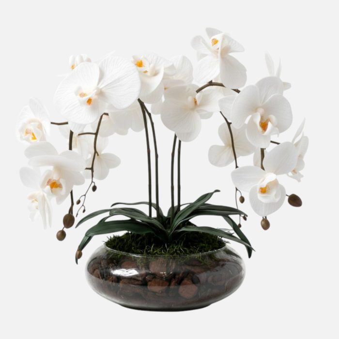 Arranjo de orquídeas em vaso de vidro Pure Harmony