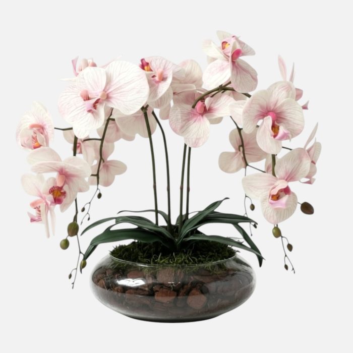 Arranjo de orquídeas em vaso de vidro Pure Harmony - Rosa Claro
