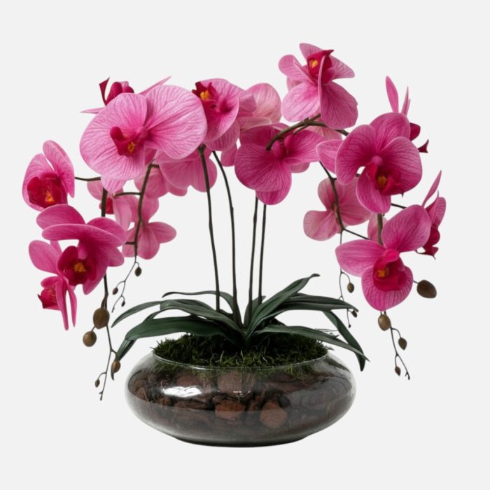 Arranjo de orquídeas em vaso de vidro Pure Harmony - Rosa Escuro