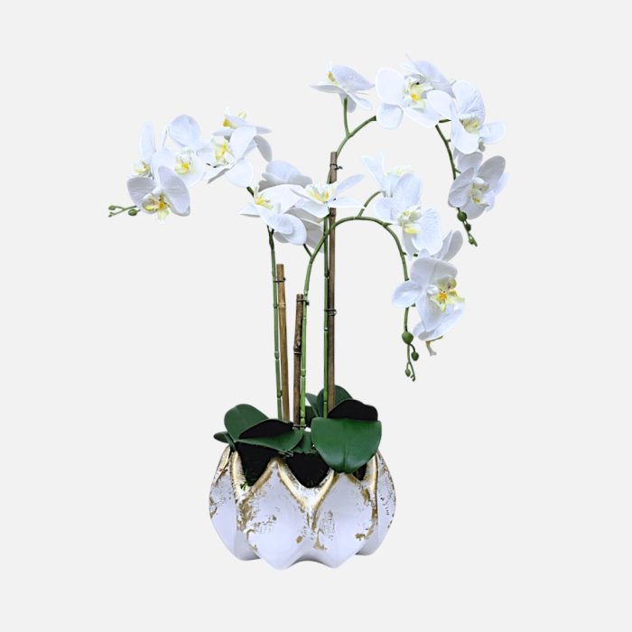 Arranjo de orquídeas em vaso de cerâmica branco e dourado Aurora