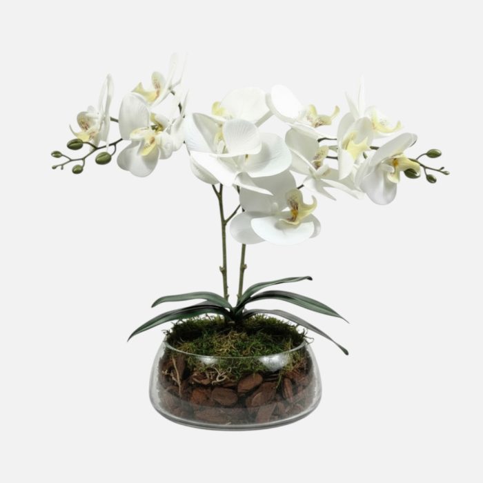 Arranjo de orquídeas em vaso de vidro Encanto