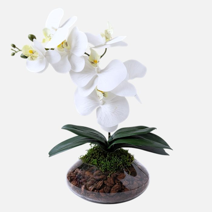Arranjo de orquídeas em vaso de vidro Ônix