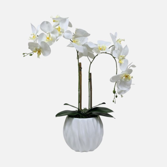 Arranjo de orquídeas em vaso de cerâmica Brisa