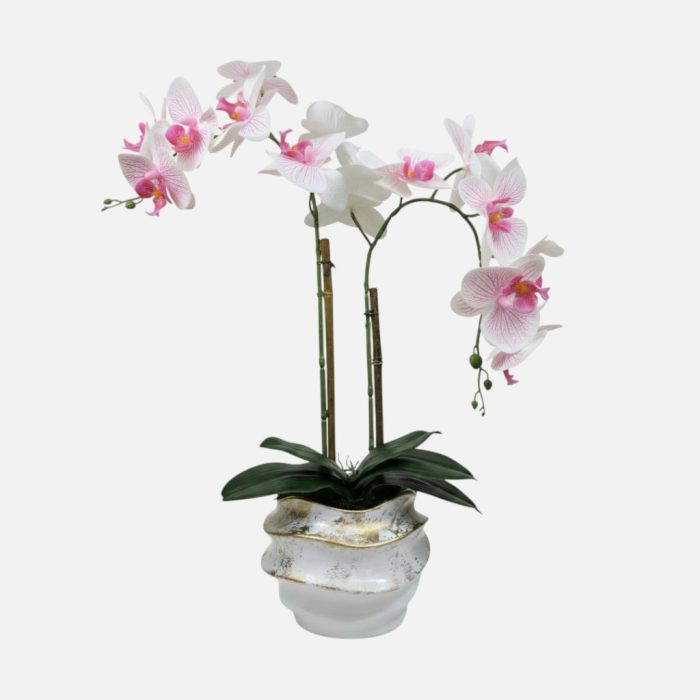 Arranjo de orquídeas em vaso de cerâmica branco e dourado Ondas - Rosa Claro