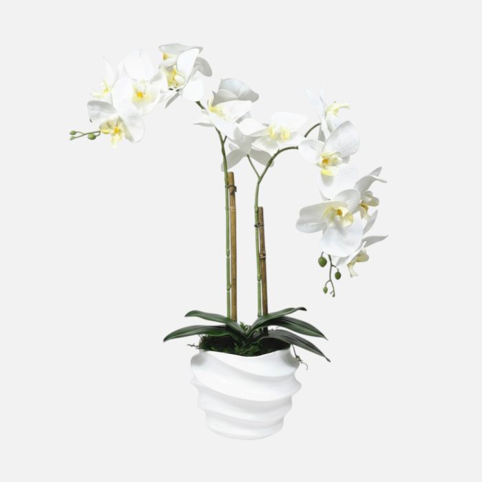 Arranjo de orquídeas em vaso de cerâmica branco Ondas