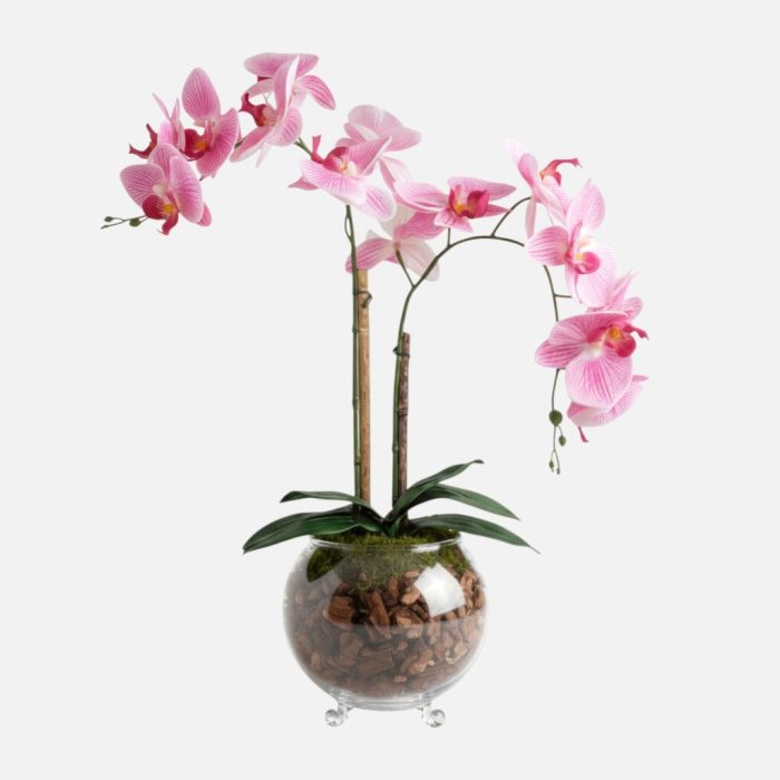 Arranjo de orquídeas em vaso de vidro Rubi - Rosa Claro